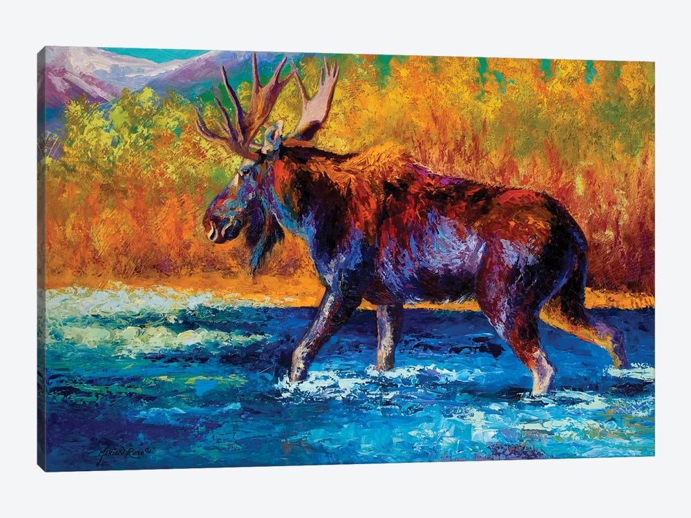 Autumn's Glimpse Moose by Marion Rose 1-piece Canvas Print