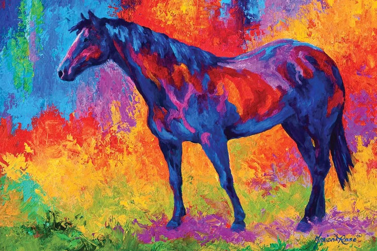 Bay Mare III by Marion Rose wall art