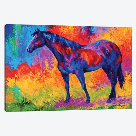 Bay Mare III Canvas Print #MRS13} by Marion Rose Canvas Wall Art