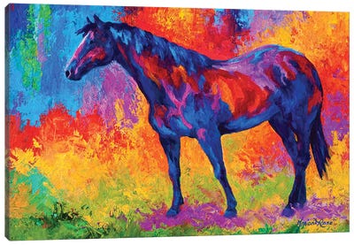 Bay Mare III Canvas Art Print - All Things Matisse