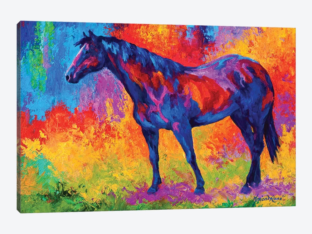 Bay Mare III by Marion Rose 1-piece Canvas Art
