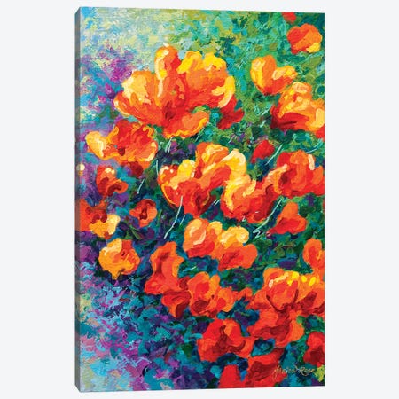 California Poppies Canvas Print #MRS27} by Marion Rose Canvas Art