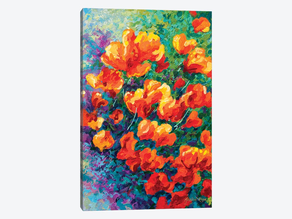 California Poppies 1-piece Canvas Print