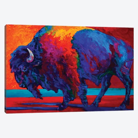 Abstract Bison Canvas Print #MRS2} by Marion Rose Canvas Artwork