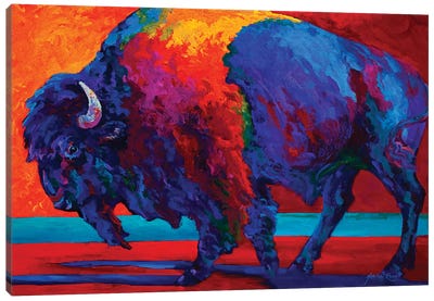 Abstract Bison Canvas Art Print - Bison & Buffalo Art