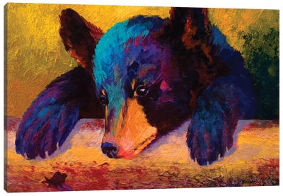 Chasing Bugs Canvas Art Print - Black Bear Art