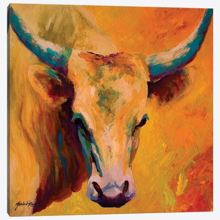 Creamy Texan Canvas Print #MRS35} by Marion Rose Art Print