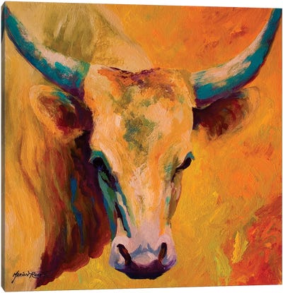 Creamy Texan Canvas Art Print - Bull Art