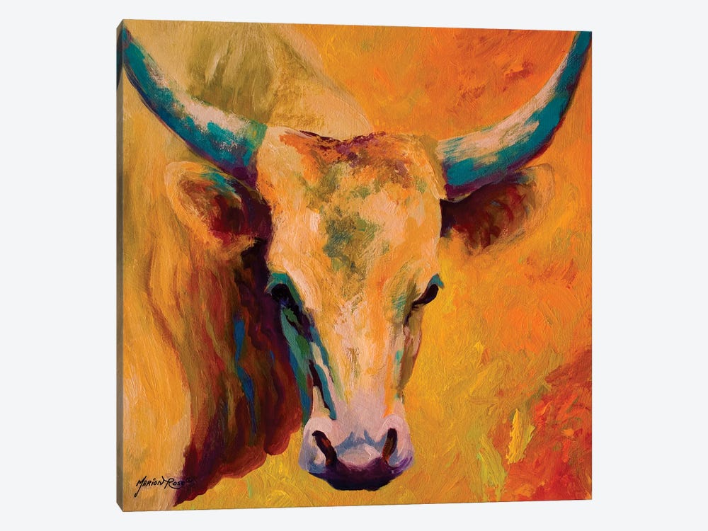 Creamy Texan by Marion Rose 1-piece Canvas Artwork