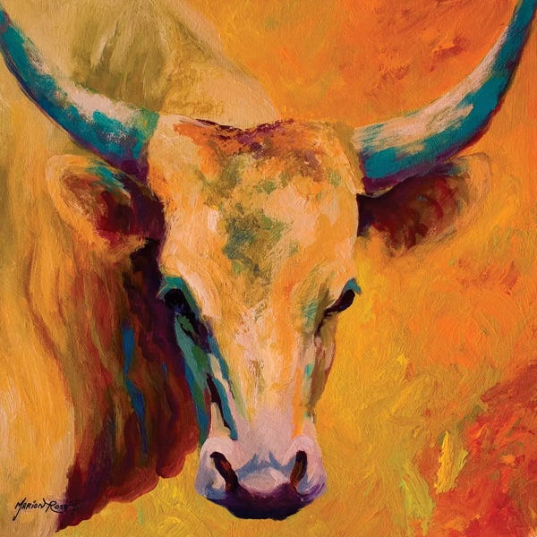 Bulls: Creamy Texan by Marion Rose