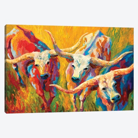 Dance Of The Longhorns Canvas Print #MRS37} by Marion Rose Canvas Print