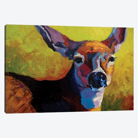 Doe Look Canvas Print #MRS39} by Marion Rose Canvas Art