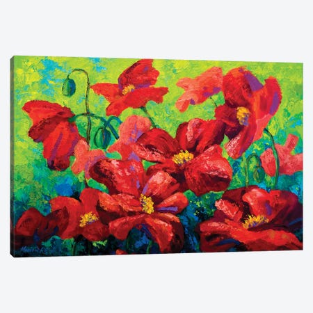 Field Of Poppies II Canvas Print #MRS44} by Marion Rose Canvas Wall Art