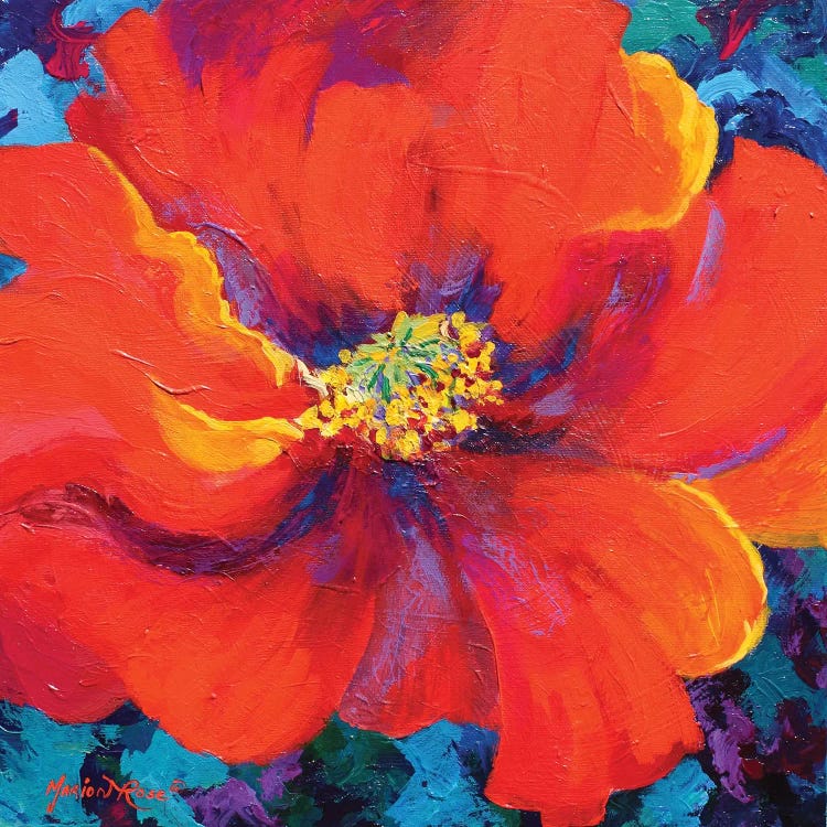 Passion Poppy by Marion Rose wall art