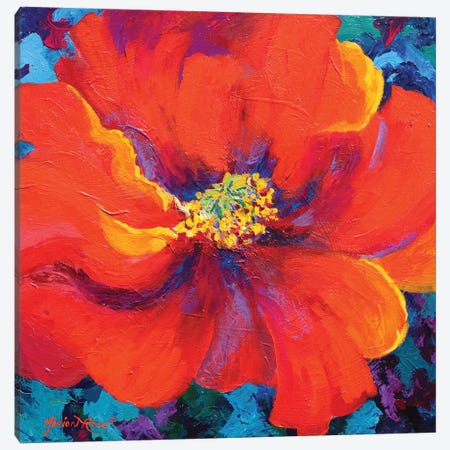 Passion Poppy Canvas Print #MRS65} by Marion Rose Canvas Artwork