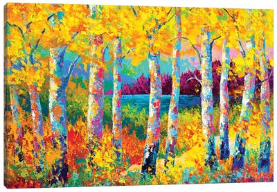 Autumn Jewels Canvas Art Print - Birch Tree Art
