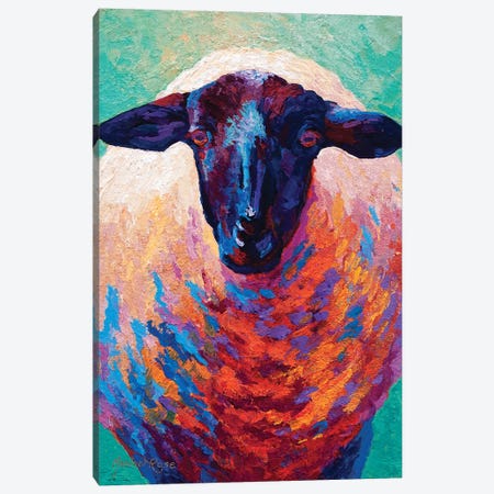 Suffolk Ewe IV Canvas Print #MRS82} by Marion Rose Canvas Print