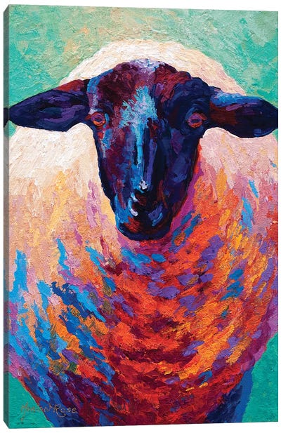 Suffolk Ewe IV Canvas Art Print - Sheep Art