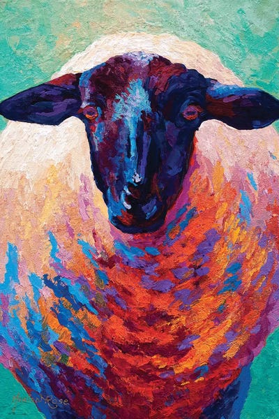 Sheep: Suffolk Ewe IV by Marion Rose