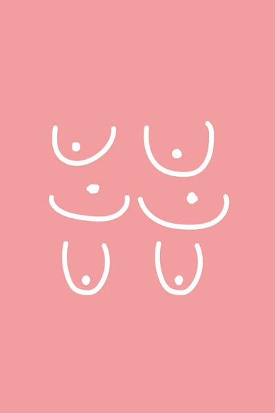Boobies Shapes Pink by Mambo Art Studio canvas print