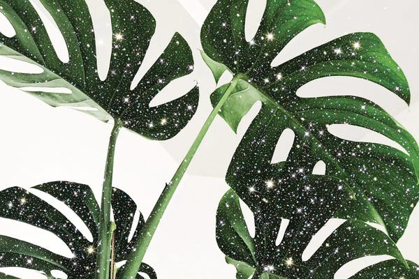 Monsteras: Glitter Monstera by Mambo Art Studio