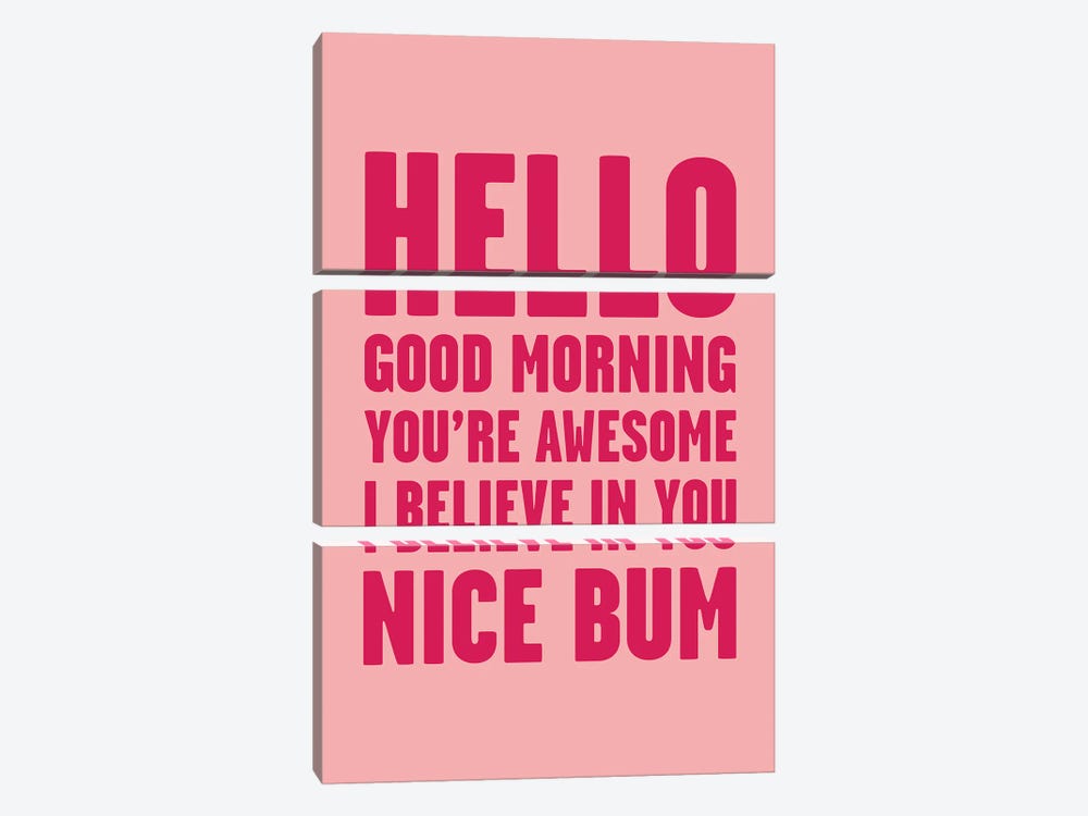 Hello You're Awesome Nice Bum Pink by Mambo Art Studio 3-piece Canvas Print