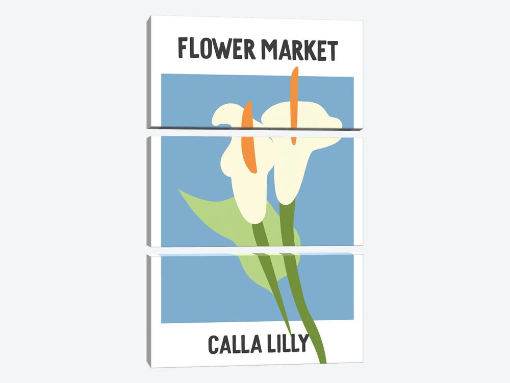 Flower Market Poster Calla Lilly by Mambo Art Studio 3-piece Canvas Art