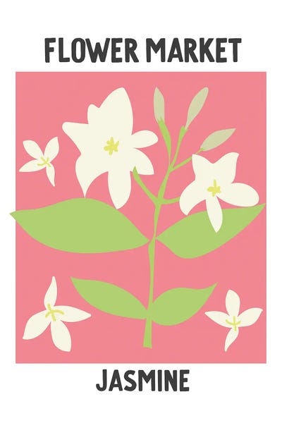 Mambo Art Studio: Flower Market Poster Jasmine by Mambo Art Studio