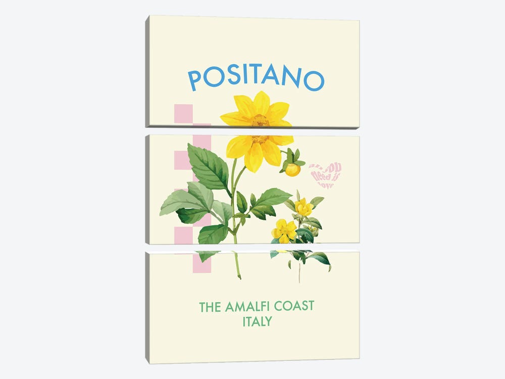 Positano Italy Flower Poster. by Mambo Art Studio 3-piece Art Print