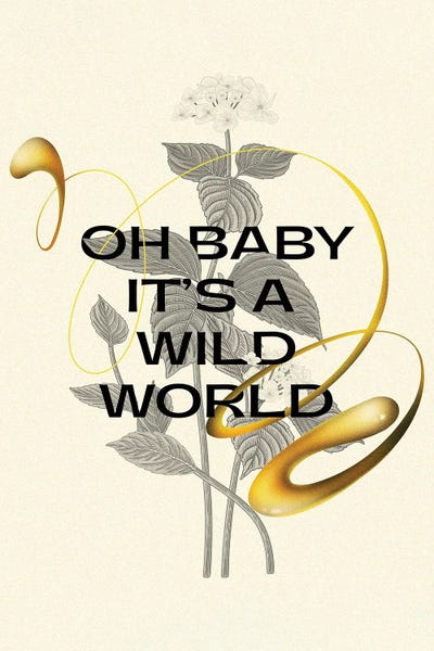 Oh Baby It's A Wild World Flowers by Mambo Art Studio metal wall art