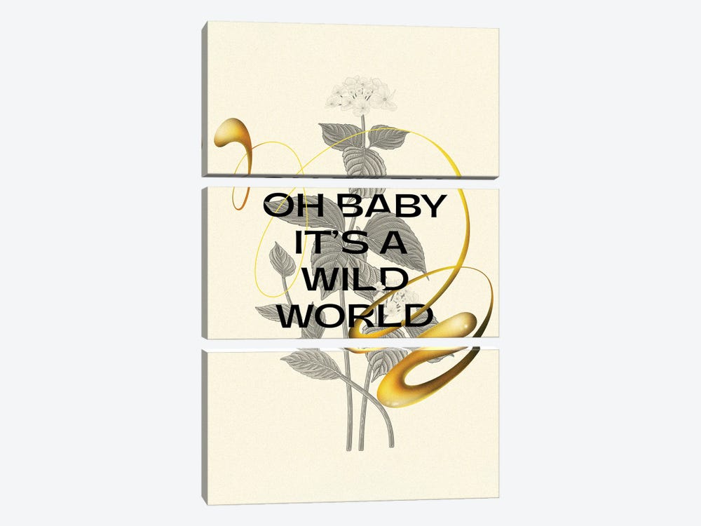Oh Baby It's A Wild World Flowers by Mambo Art Studio 3-piece Canvas Art Print