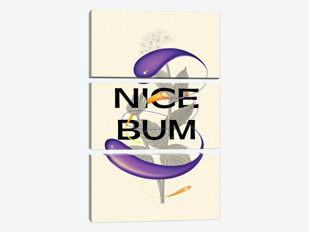 Nice Bum by Mambo Art Studio 3-piece Canvas Art Print