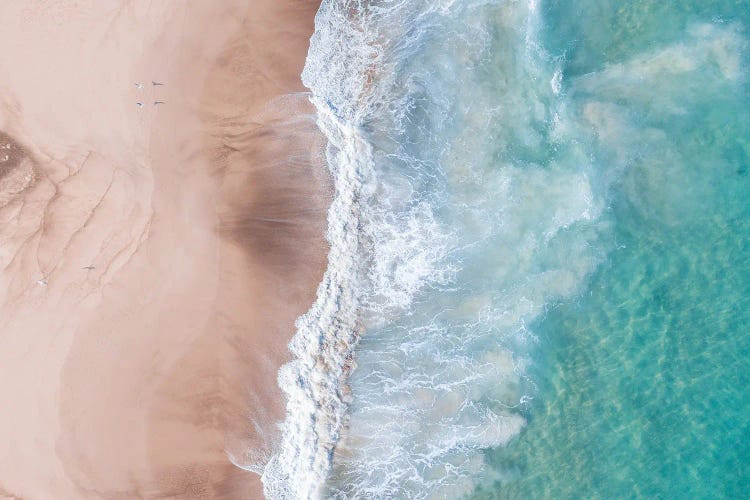 Beach Photo