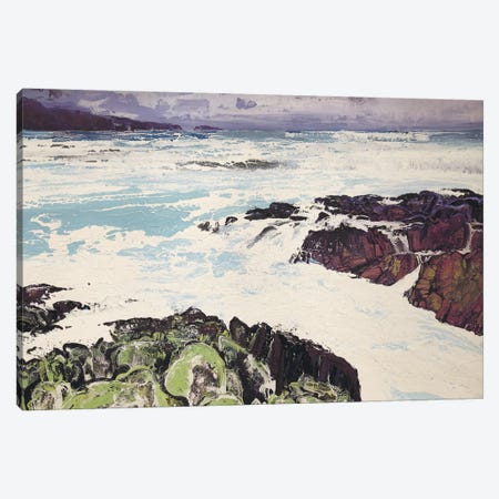 Iona XIII Canvas Print #MSE12} by Michael Sole Art Print