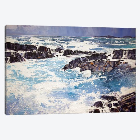Iona XV Canvas Print #MSE14} by Michael Sole Canvas Wall Art