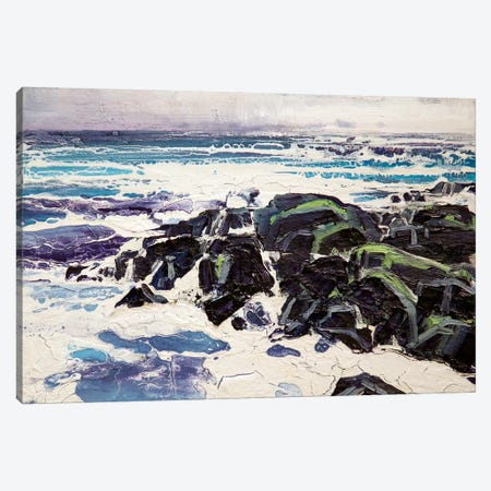 Iona Rocks I Canvas Print #MSE15} by Michael Sole Canvas Wall Art