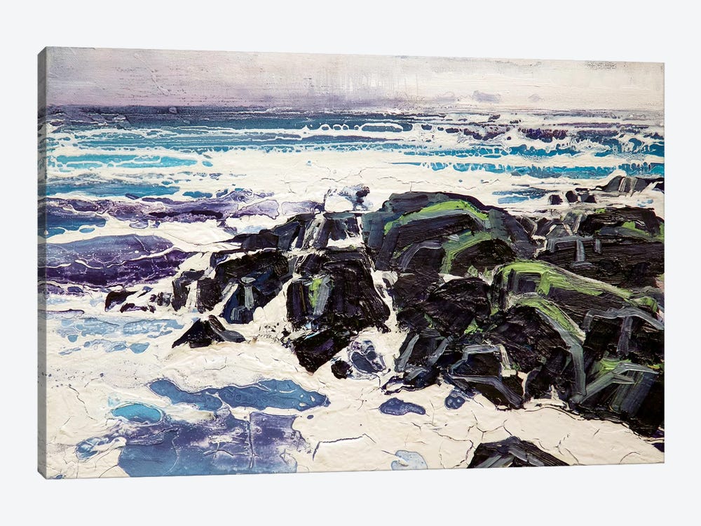 Iona Rocks I by Michael Sole 1-piece Canvas Art Print