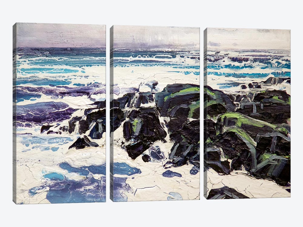 Iona Rocks I by Michael Sole 3-piece Canvas Art Print