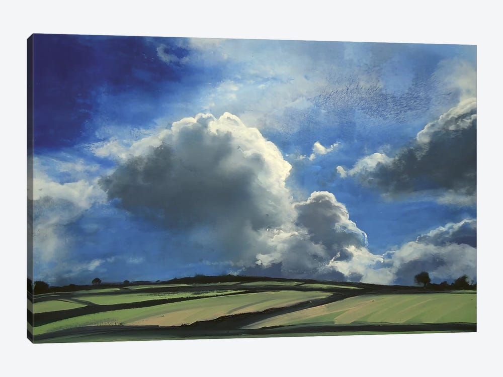 Far Beyond Summer Sky II by Michael Sole 1-piece Canvas Art Print
