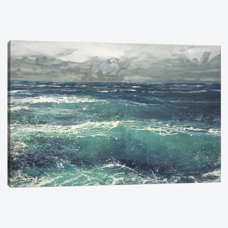 March Gale V Canvas Print #MSE23} by Michael Sole Canvas Art