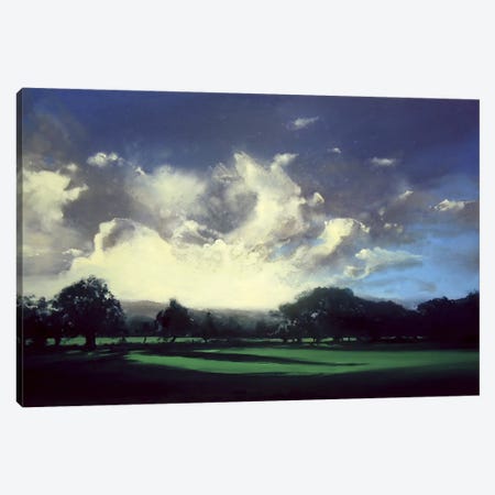 Pointing Home Canvas Print #MSE31} by Michael Sole Canvas Print
