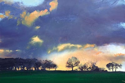 Rocombe by Michael Sole framed canvas print