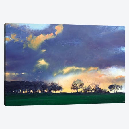 Rocombe Canvas Print #MSE33} by Michael Sole Canvas Print