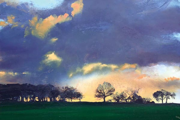 Infinite Landscapes: Rocombe by Michael Sole