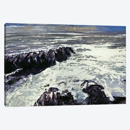 Seaspray, Rocks XII Canvas Print #MSE34} by Michael Sole Canvas Artwork