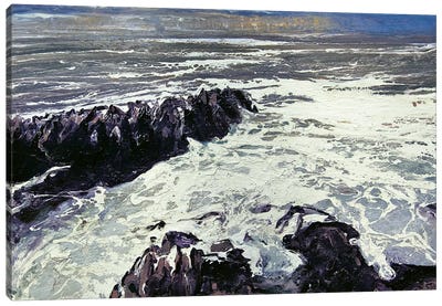 Seaspray, Rocks XII Canvas Art Print - Michael Sole
