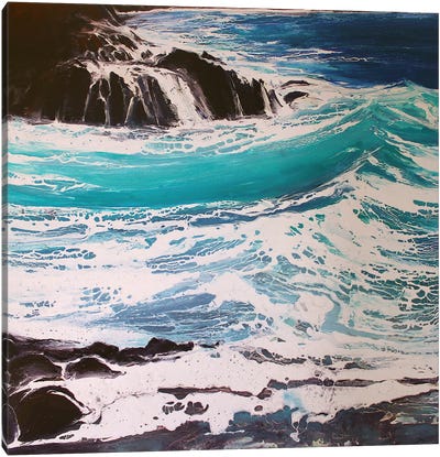 Seaspray, Red Rocks III Canvas Art Print - Michael Sole