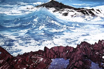 Seaspray, Red Rocks V by Michael Sole canvas print