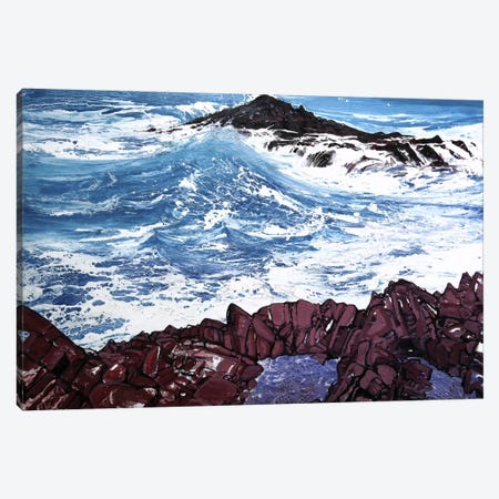 Seaspray, Red Rocks V Canvas Print #MSE37} by Michael Sole Canvas Wall Art