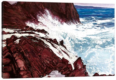 Seaspray, Red Rocks VIII Canvas Art Print - Michael Sole